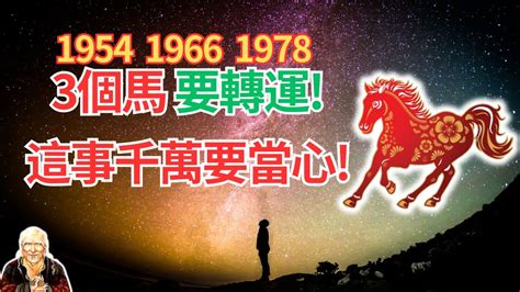 1978年屬馬運勢|【1978年 生肖】1978年生肖運勢搶先看！45歲屬馬者必讀！